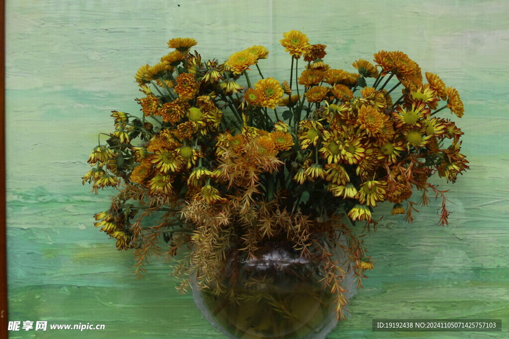 菊花 