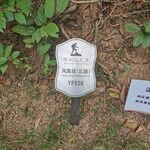 深圳远足径凤凰径3段YF056