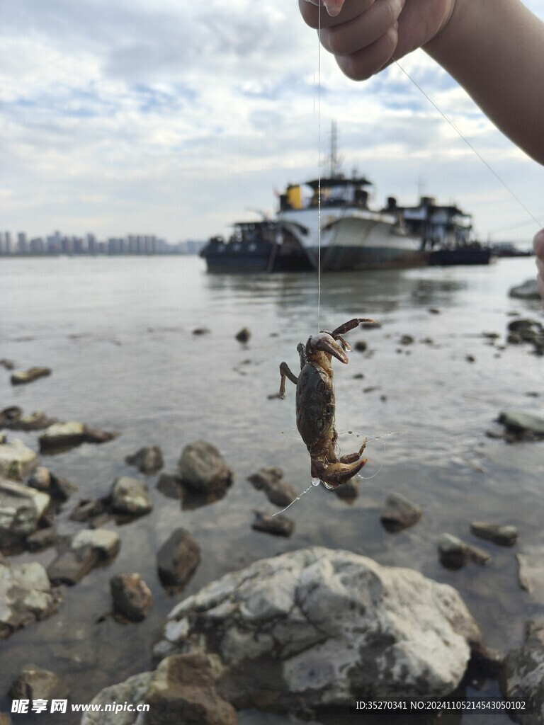 江滩摸鱼