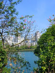 柳州风景