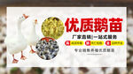 养殖电商大图