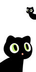 小黑猫