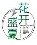 字体排版