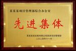 先进集体奖牌