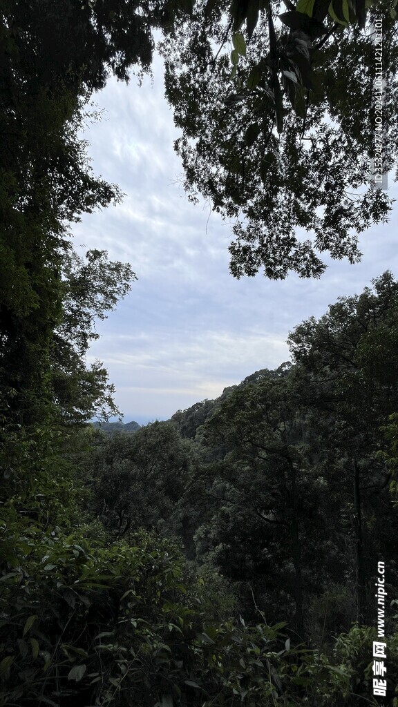 青城山风景