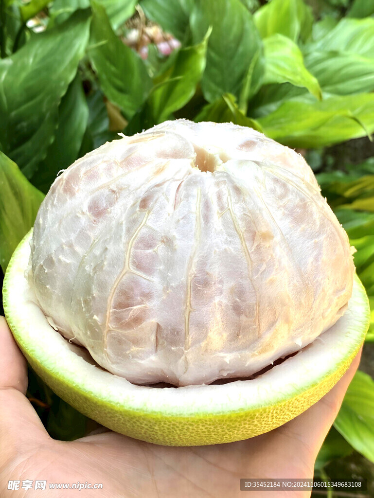 柚子