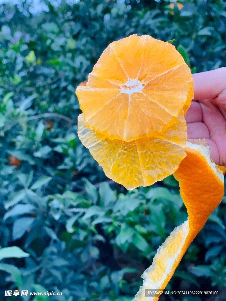橙子