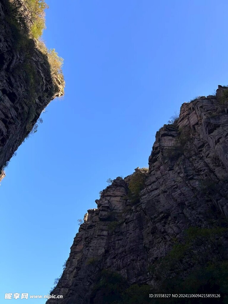 山