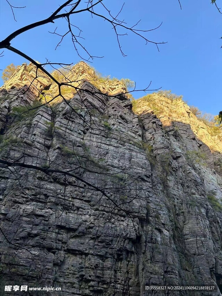 山