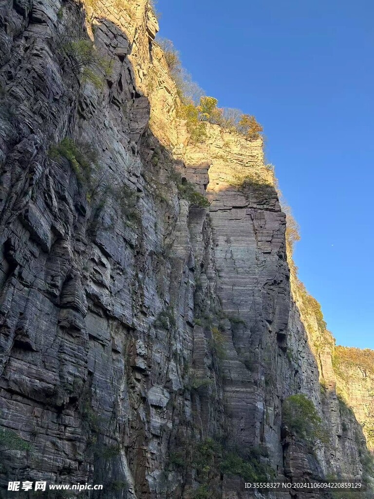山