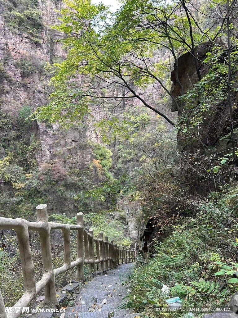 山