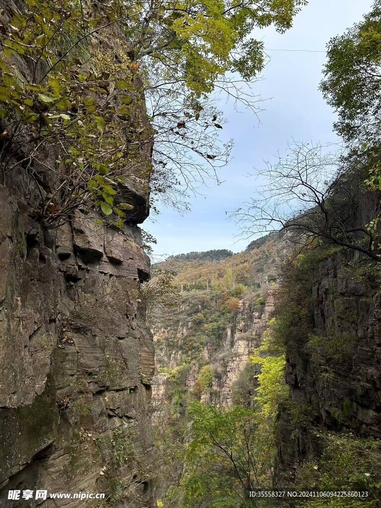 山