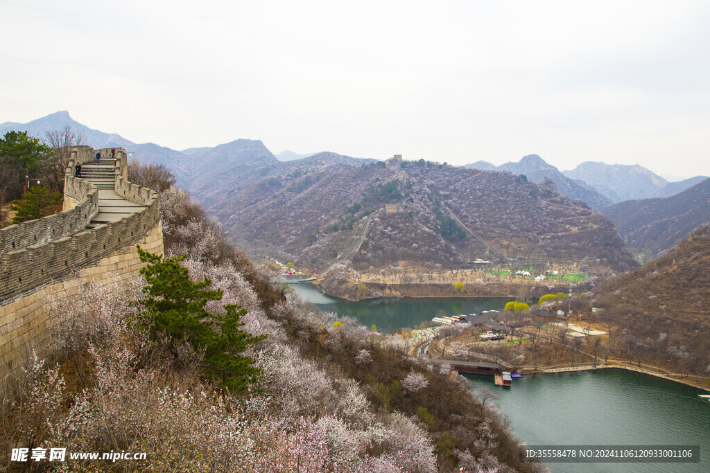 杏花漫山水长城