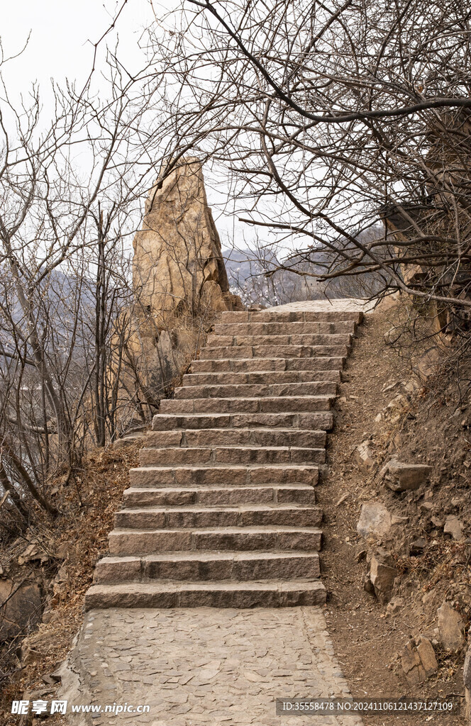 杏花满山水长城