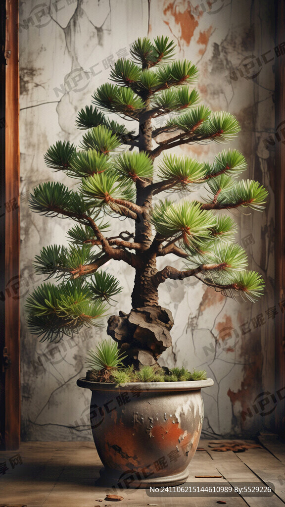 松 盆栽 复古 美式