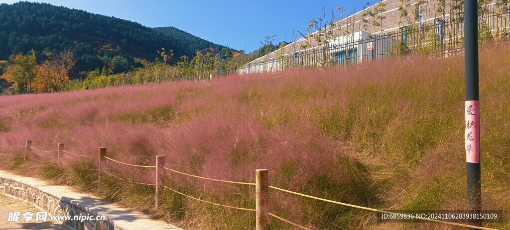 龙洞风景区秋日草甸