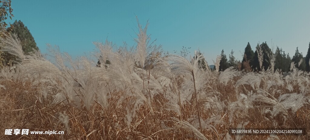 龙洞风景区秋天的草地