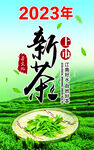 新茶上市