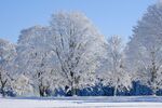 冬季雪景