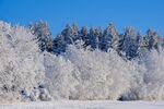 冬季雪景