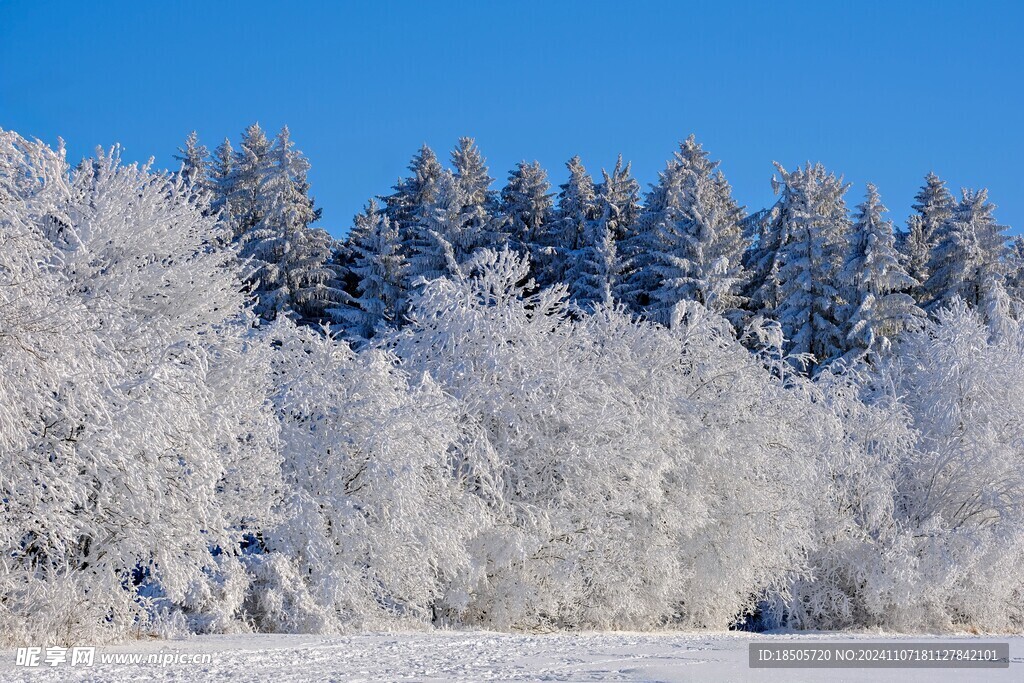 冬季雪景