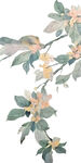 落叶生花