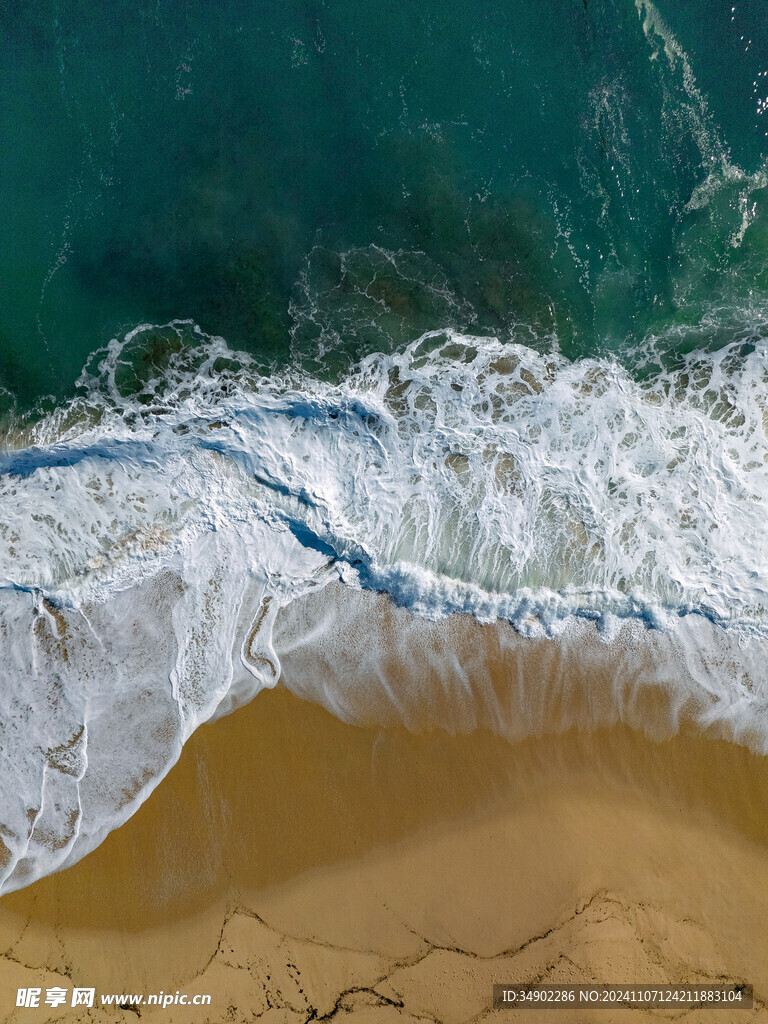 大海