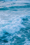 海洋