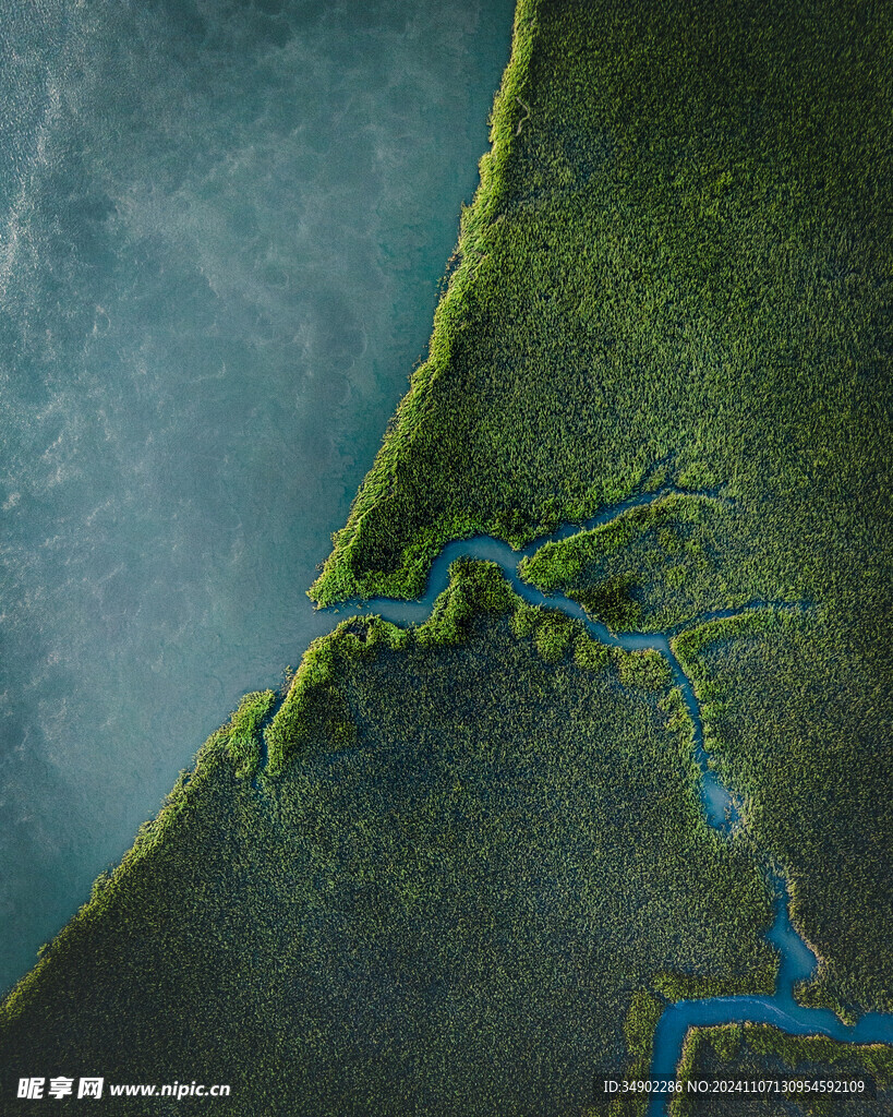 大海
