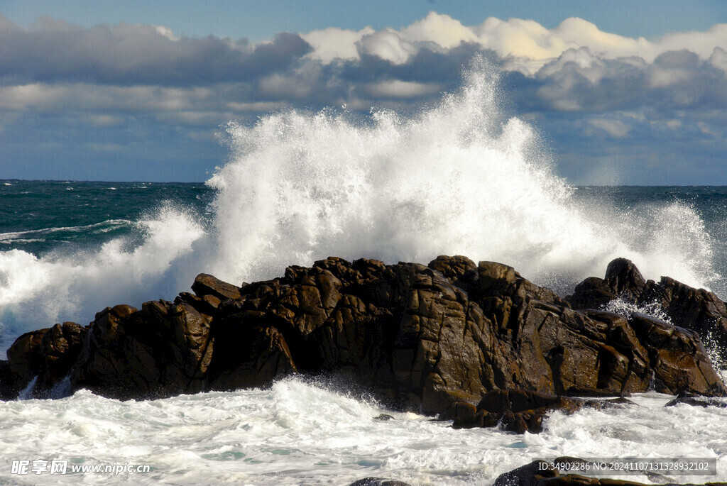 大海