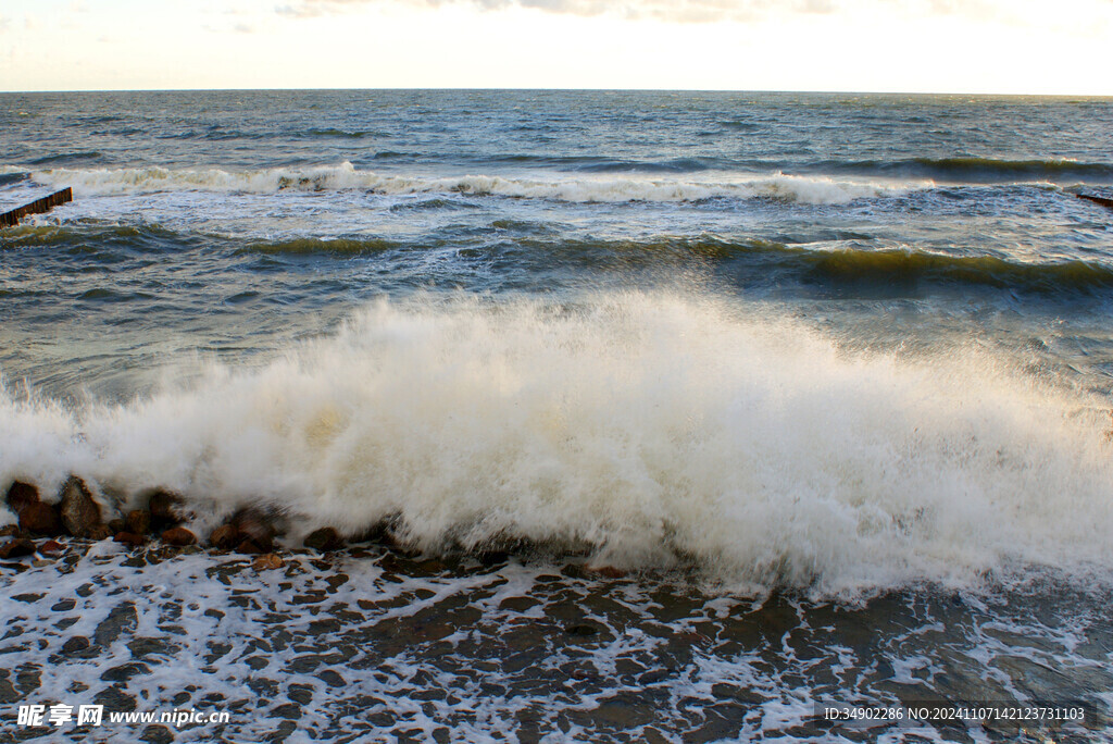 大海