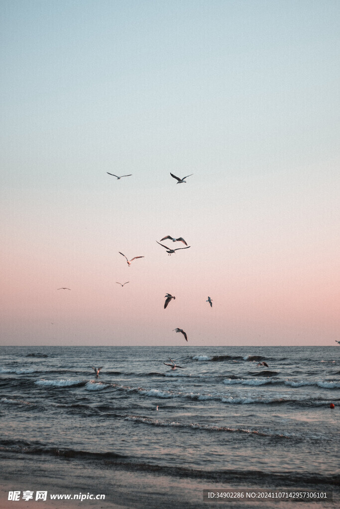 大海沙滩