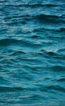 海面 