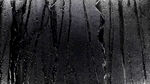 雨夜
