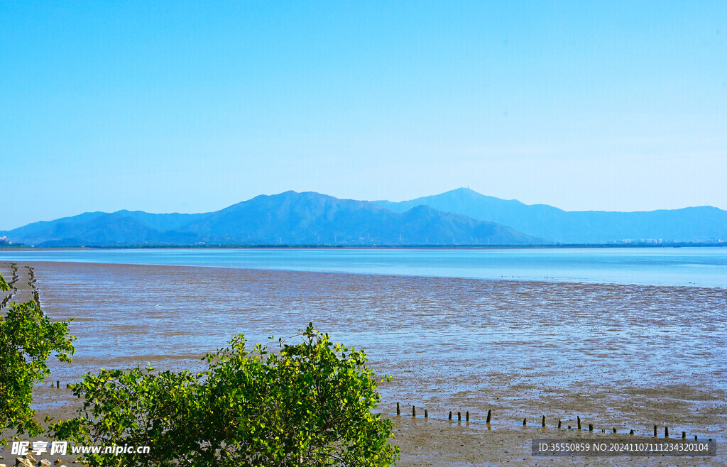 退潮后的宁静海湾