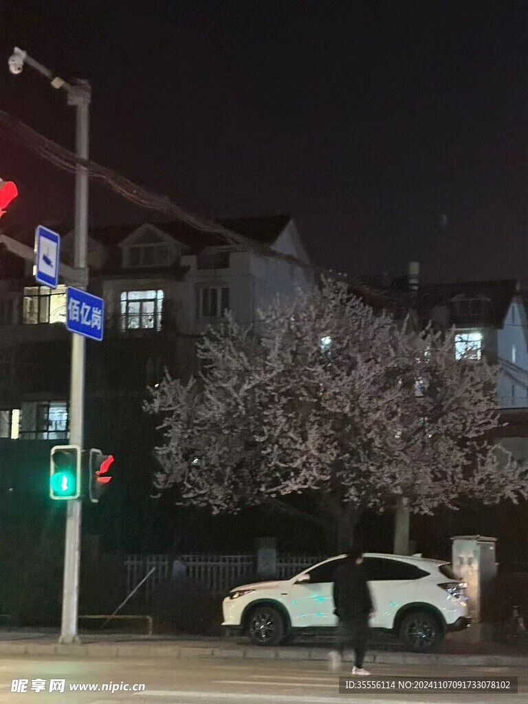 桃树