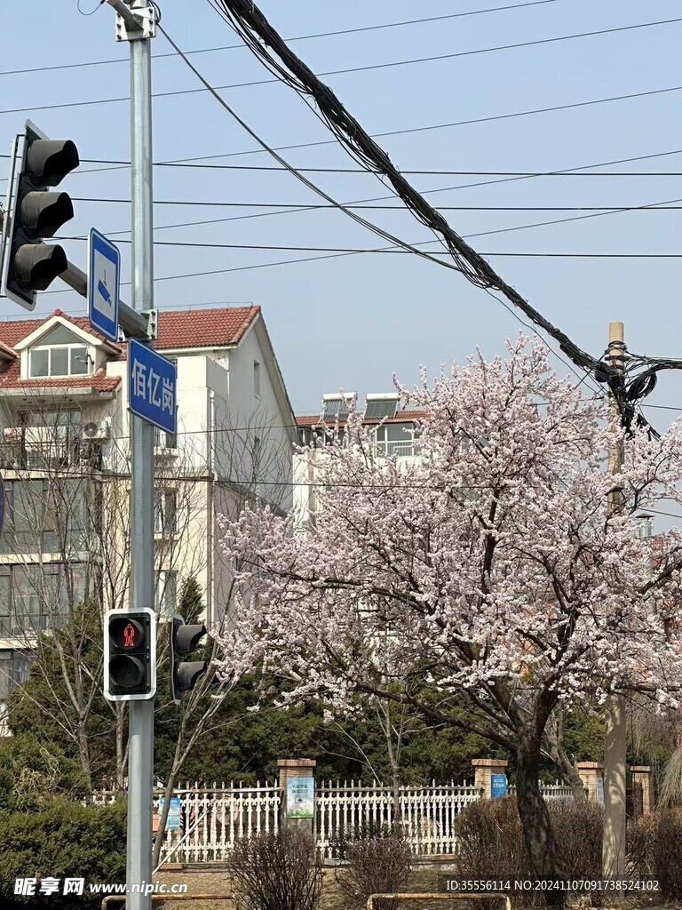 桃花
