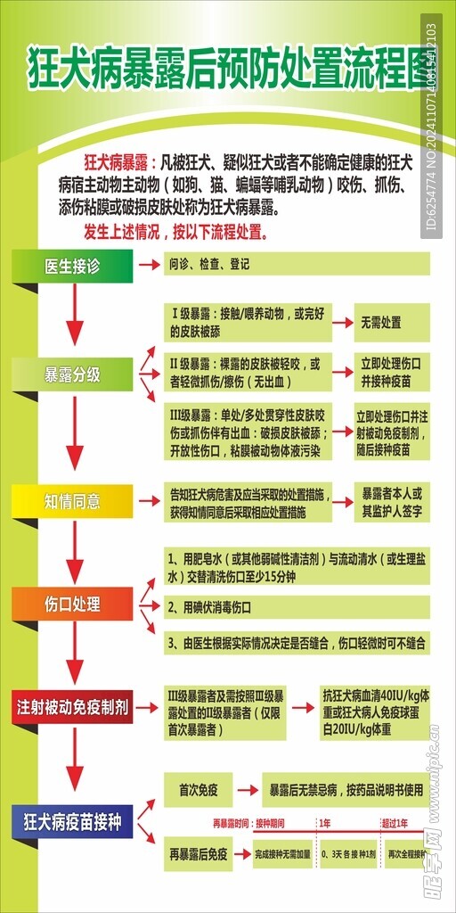 狂犬病暴露后预防处置流程图