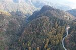 山