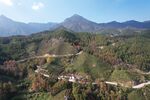 山