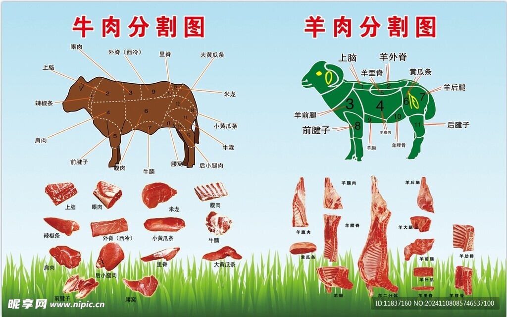 牛羊肉分割图