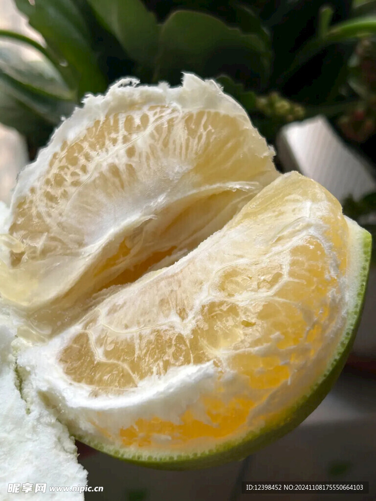 柑橘