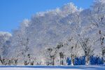 冬季雪景