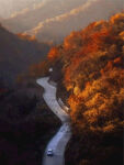 山