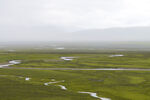 草原风景