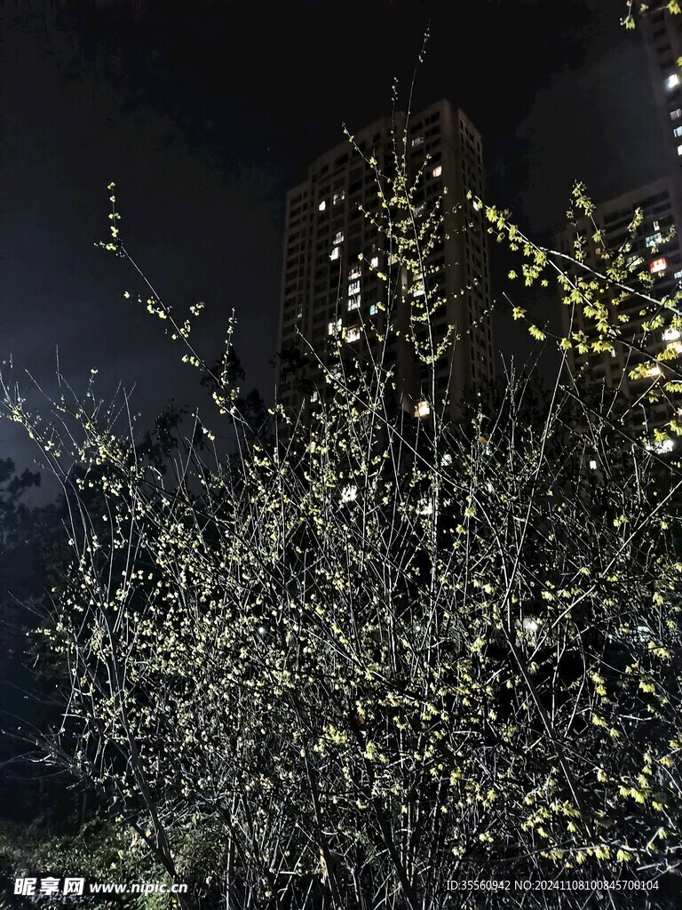 火树银花