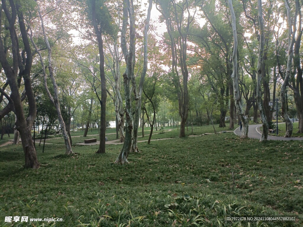 园林景观