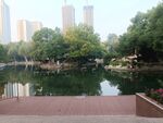 园林景观