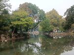 园林景观