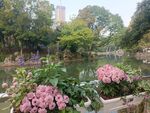 园林景观